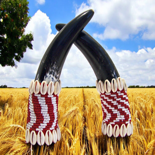 Tarros Para Oggue / Horns for Oggue