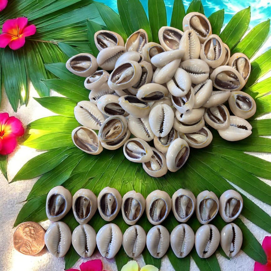 Collection of cowrie shells on a leaf with flowers around, set against a ocean background.