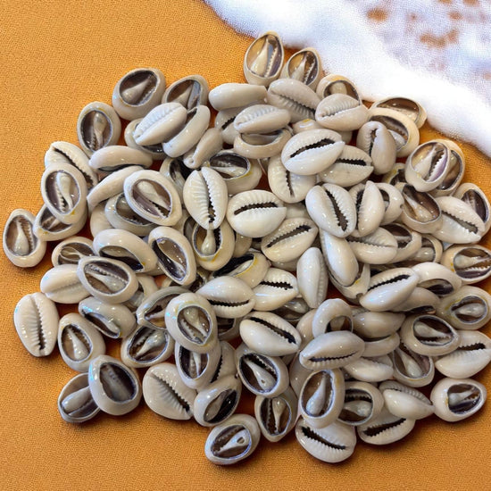 Pile of cowrie shells on a textured surface