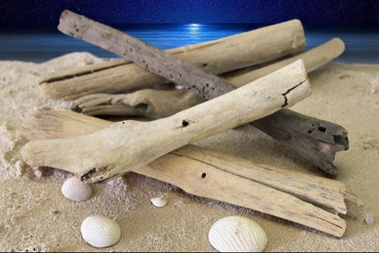Stack of driftwood on sand with a blue water background