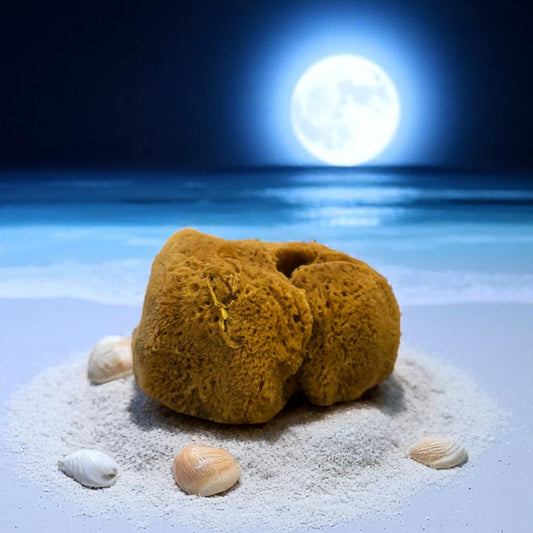 Yellow sponge on a sandy beach with a full moon in the background