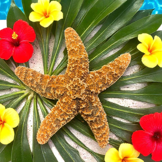 Starfish surrounded by tropical flowers and leaves on a sandy background